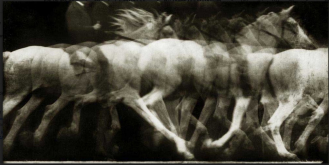Decomposition of the movement of a galloping white horse with a man on its back.
