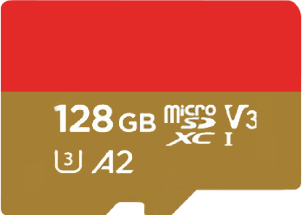 Image of a Micro SD card.